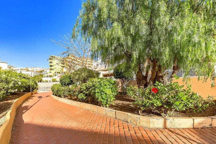Tenerifeopenhome Costa Adeje Comfort Apartment 3 Pools Bagian luar foto
